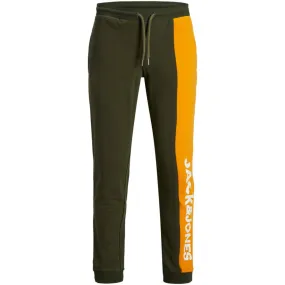 12206466 JJIDAMON SWEAT PANTS FOREST NIGHT