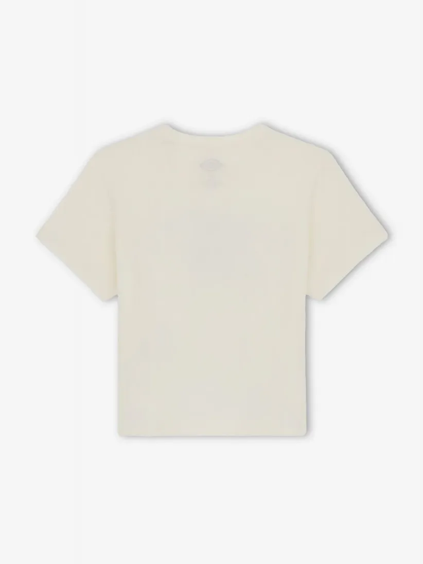 Camiseta Dickies Aitkin W